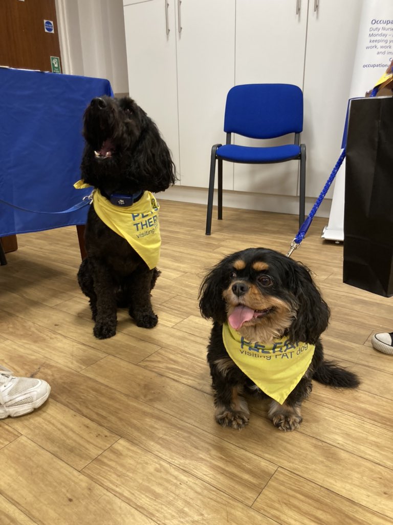 Come meet our lovely pat dogs Walter and Coco for well-being cuddles at the <a href="/Team_ESNEFT/">Team ESNEFT</a> menopause, women’s health and well-being fairs