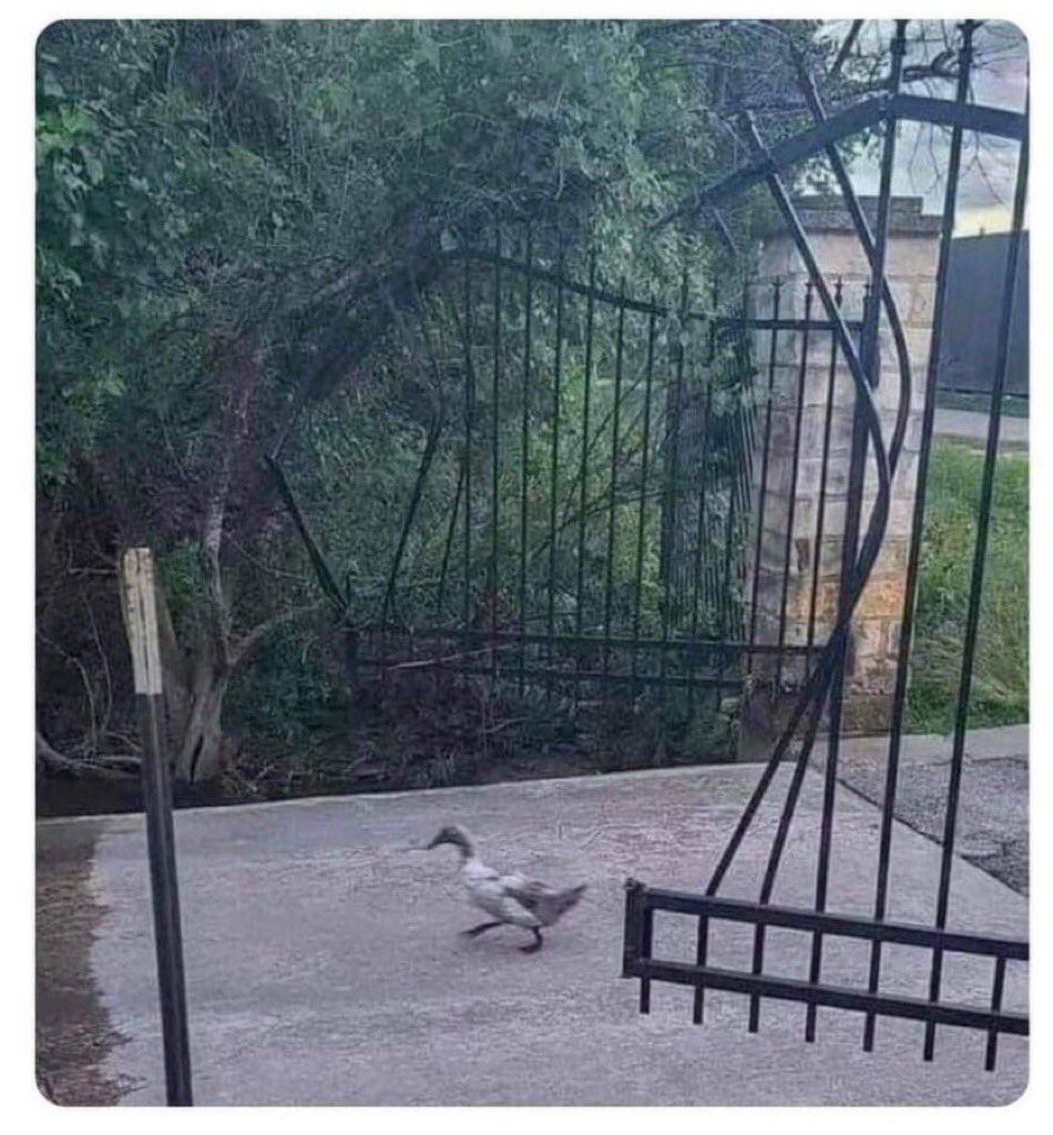 Waddling into the BIG 10 like…
SCO DUCKS!!! 
<a href="/oregonfootball/">Oregon Football</a> @big10 <a href="/uoregon/">University of Oregon</a>