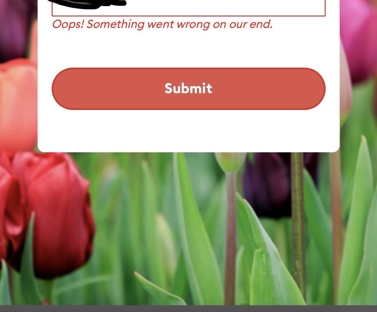 Mica Whittock tweet media