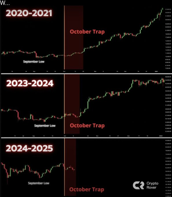 What’s the hottest #memecoin  in October 👇👇