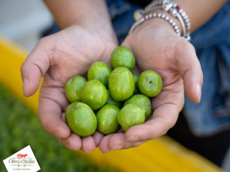beliceweb's tweet photo. Olive: Un Gioiello Verde dalla Storia Millenaria

Leggi l'Articolo Completo: ---> https://t.co/xh6rkJdEEK

#olive #oliveDiSicilia #oliveCastelvetrano #oliveBelice #oliveSicilia #oliveAsaro https://t.co/xoUYFjDhGY
