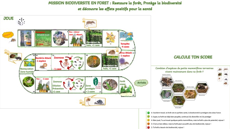 A game designed with <a href="/AloisBerard/">Berard Aloïs</a> @CBGPMontpellier to illustrate how restoring a monoculture pine forest can enhance the ecosystem by i) increasing resilience to biotic and abiotic disturbances, ii) restoring small mammal biodiversity, and iii) reducing zoonotic risks <a href="/BEPREP_EU/">BEPREP</a>