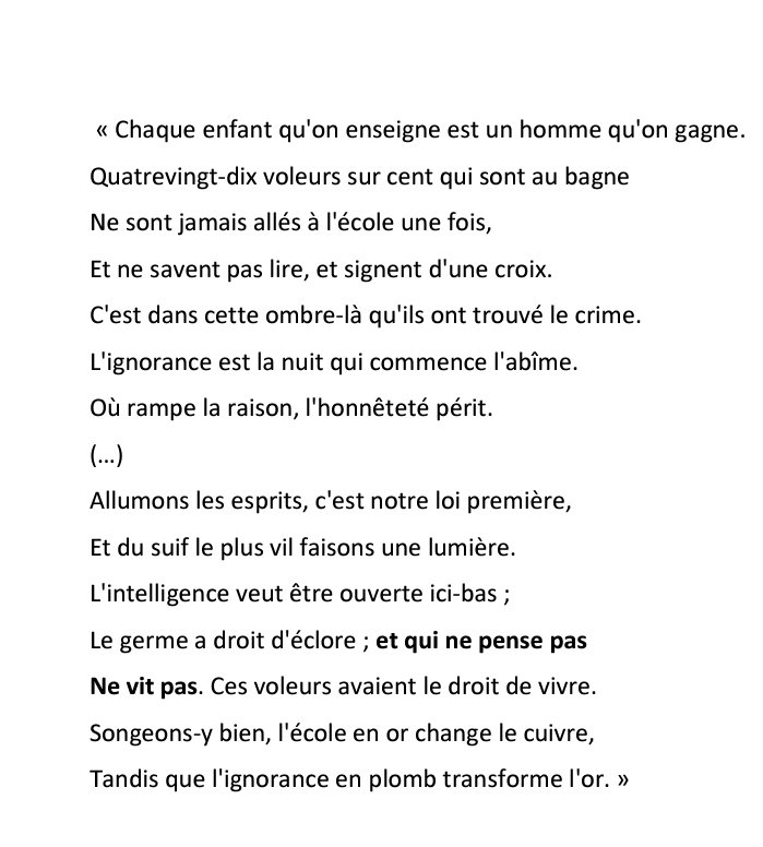 Lucie Pitiot tweet media
