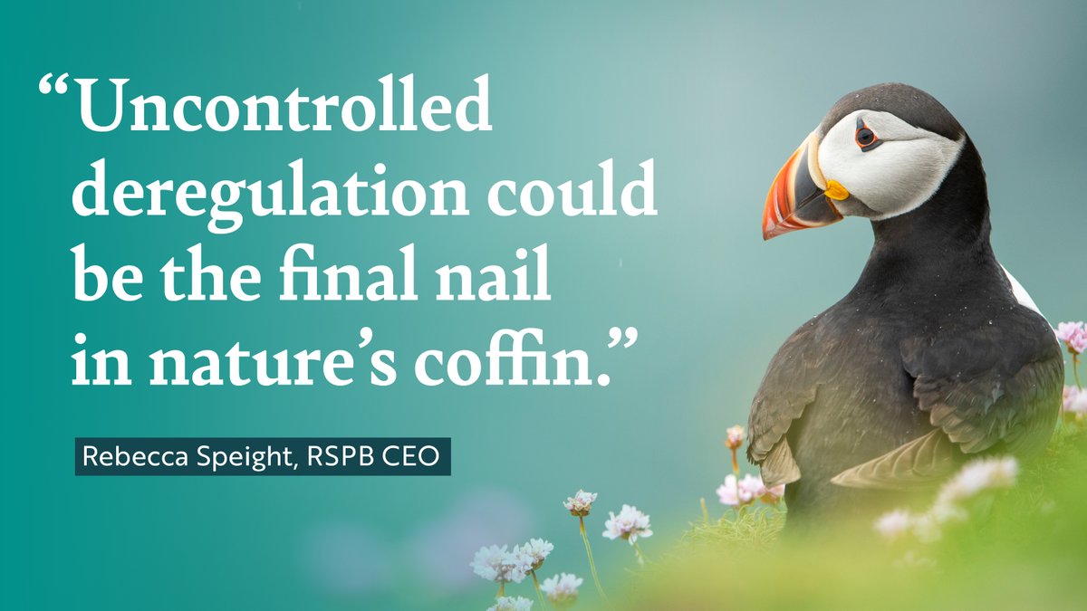 RSPB (@natures_voice) on Twitter photo It's unsettling to hear <a href="/Keir_Starmer/">Keir Starmer</a>'s deregulation plans today.
Done wrong, this will mean fewer protections for nature when it urgently needs more.
We support growth, we support the energy transition, but not at the expense of the natural world. It's unsettling to hear <a href="/Keir_Starmer/">Keir Starmer</a>'s deregulation plans today.
Done wrong, this will mean fewer protections for nature when it urgently needs more.
We support growth, we support the energy transition, but not at the expense of the natural world.