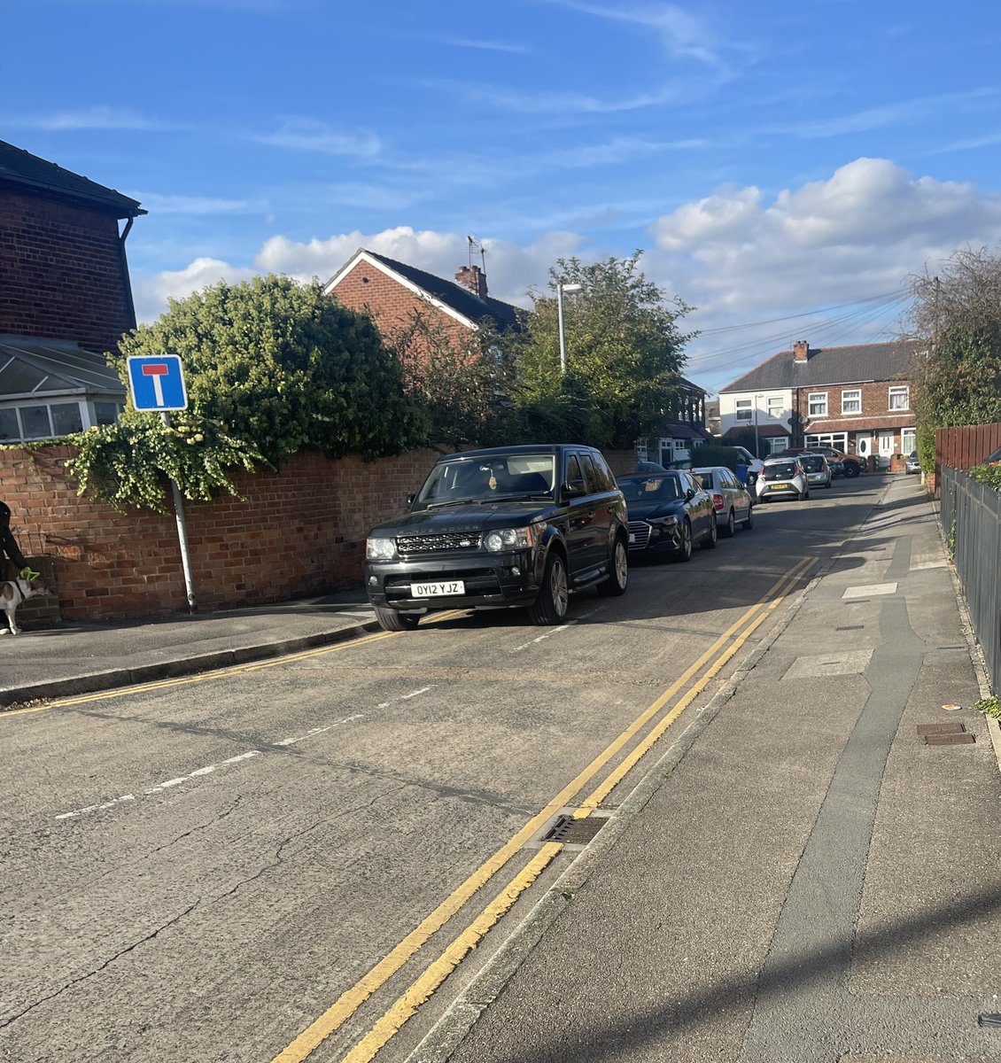 dgarnett's tweet photo. Today’s idiots that want to put kids lives at risk. Couple of regulars. 

@PenshurstSchool @Humberbeat @HumberbeatRoads https://t.co/OFGOAs0wMK