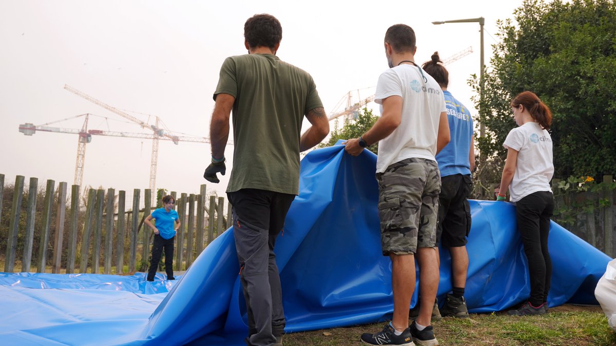 CIIMAR-UP tweet media