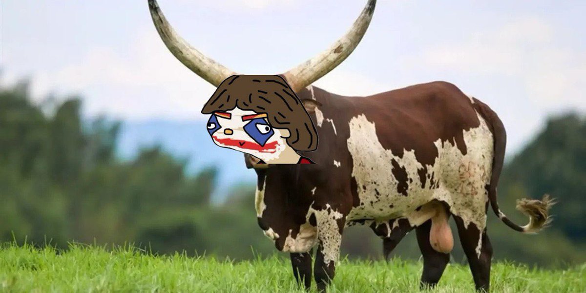 <a href="/shahh/">shah</a> Are you this bull ish? 
$METCH