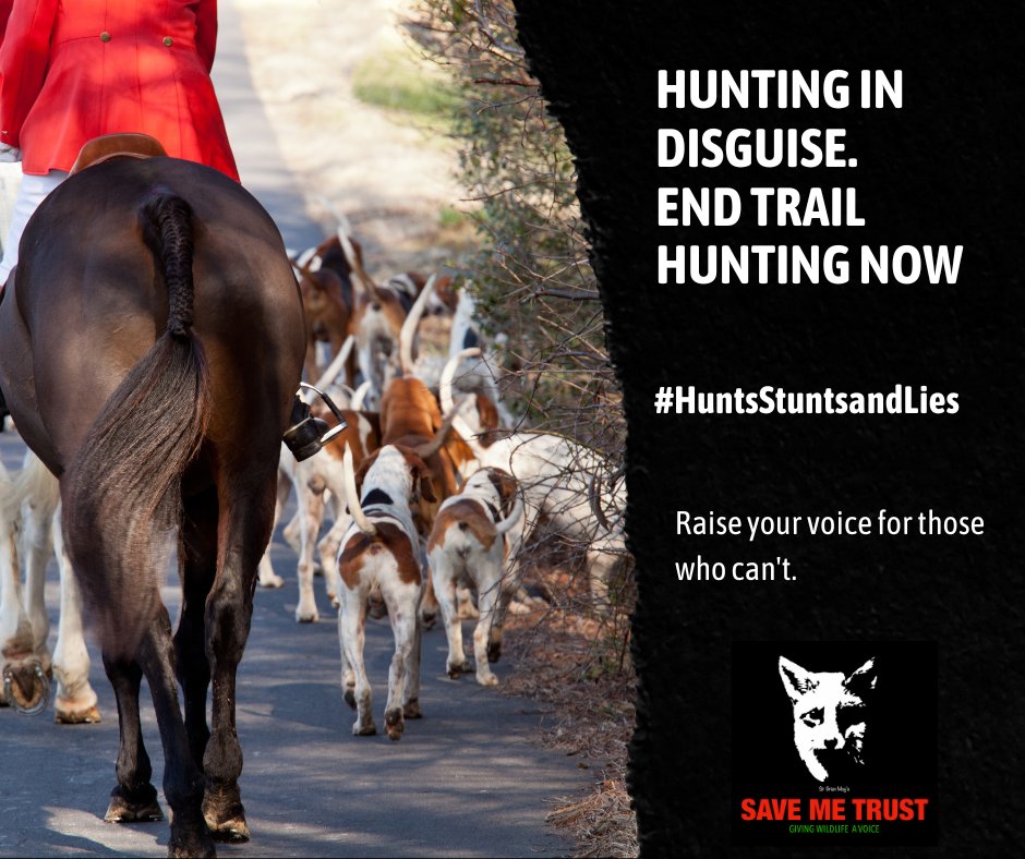 SaveMeTrust's tweet photo. Introducing a recklessness clause to the Hunting Act will prevent ‘trail hunting’ from being used as a cover for killing foxes. Trail hunting didn't exist before the Hunting Act.  It must be stopped #MayAmendments #CleanUpTheAct Sign &amp; Share 👉 https://t.co/NqR0BG8Sl6 https://t.co/yRfdyU4z5d