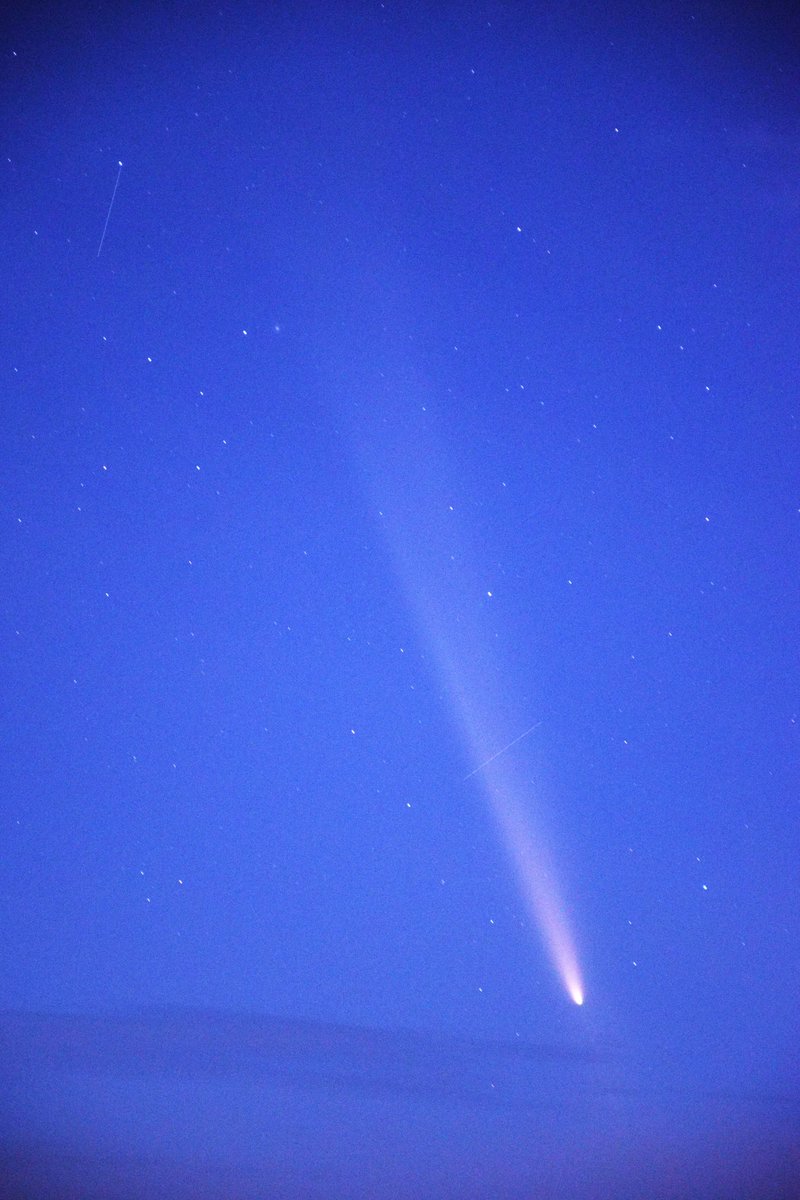 stellawing's tweet photo. 紫金山・アトラス彗星
昨日よりも尾が長いように見えました。 https://t.co/G0FWAB3fGd