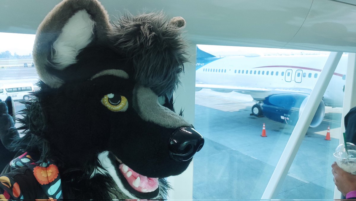 Lugarru Black EXPOFUR tweet media
