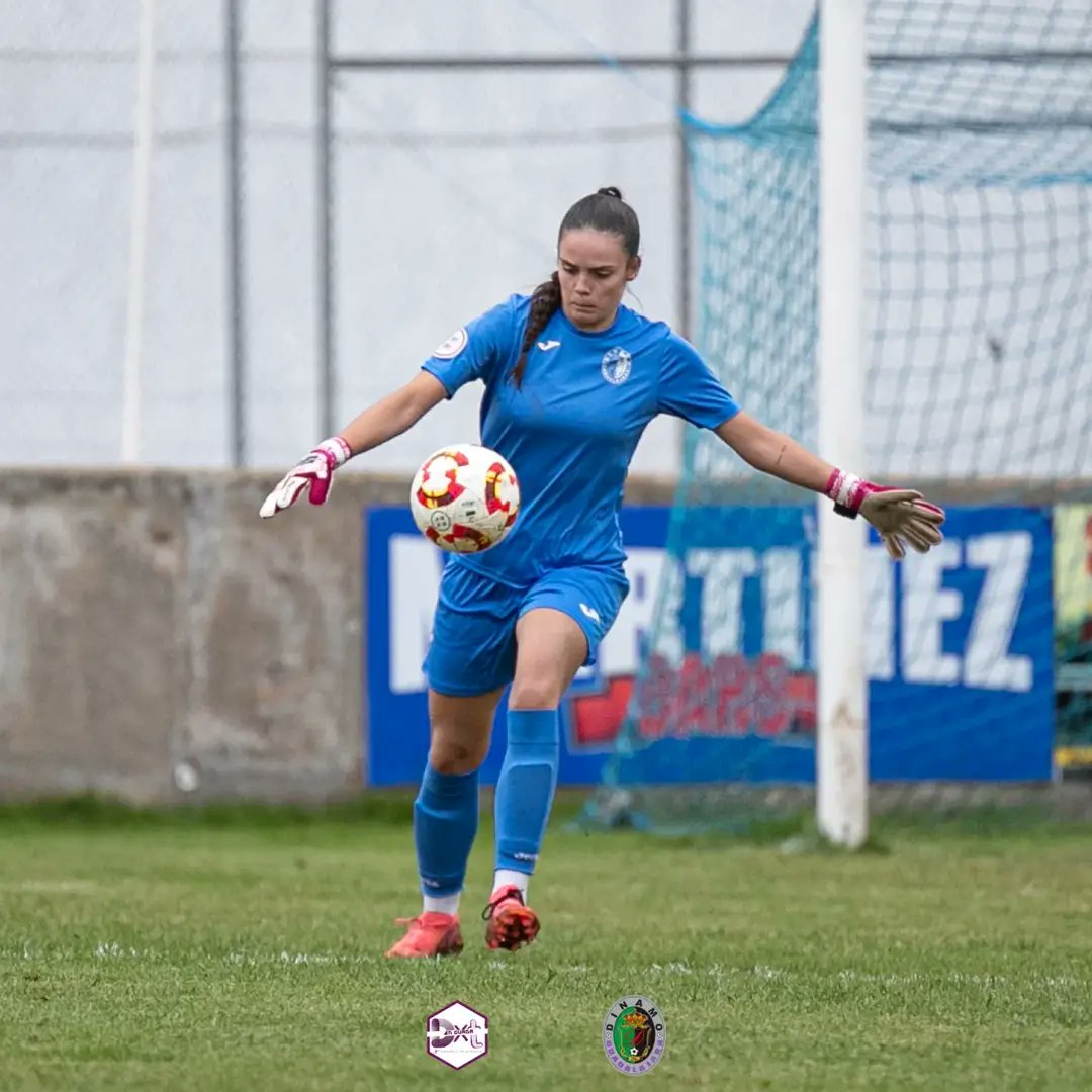 Dinamo Guadalajara tweet media