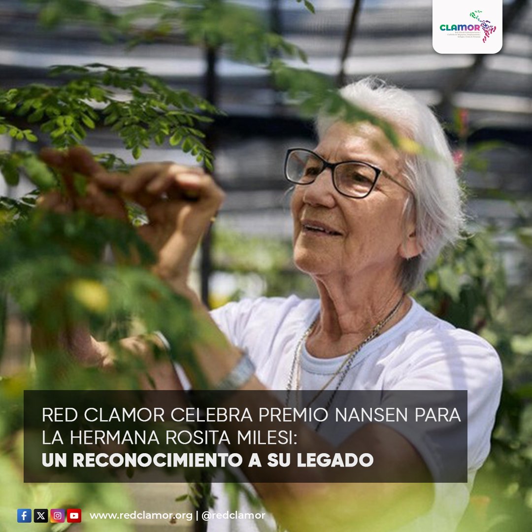redclamor tweet media