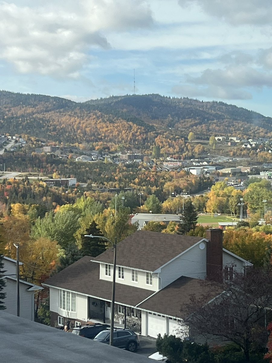 Cutis Cutler tweet media