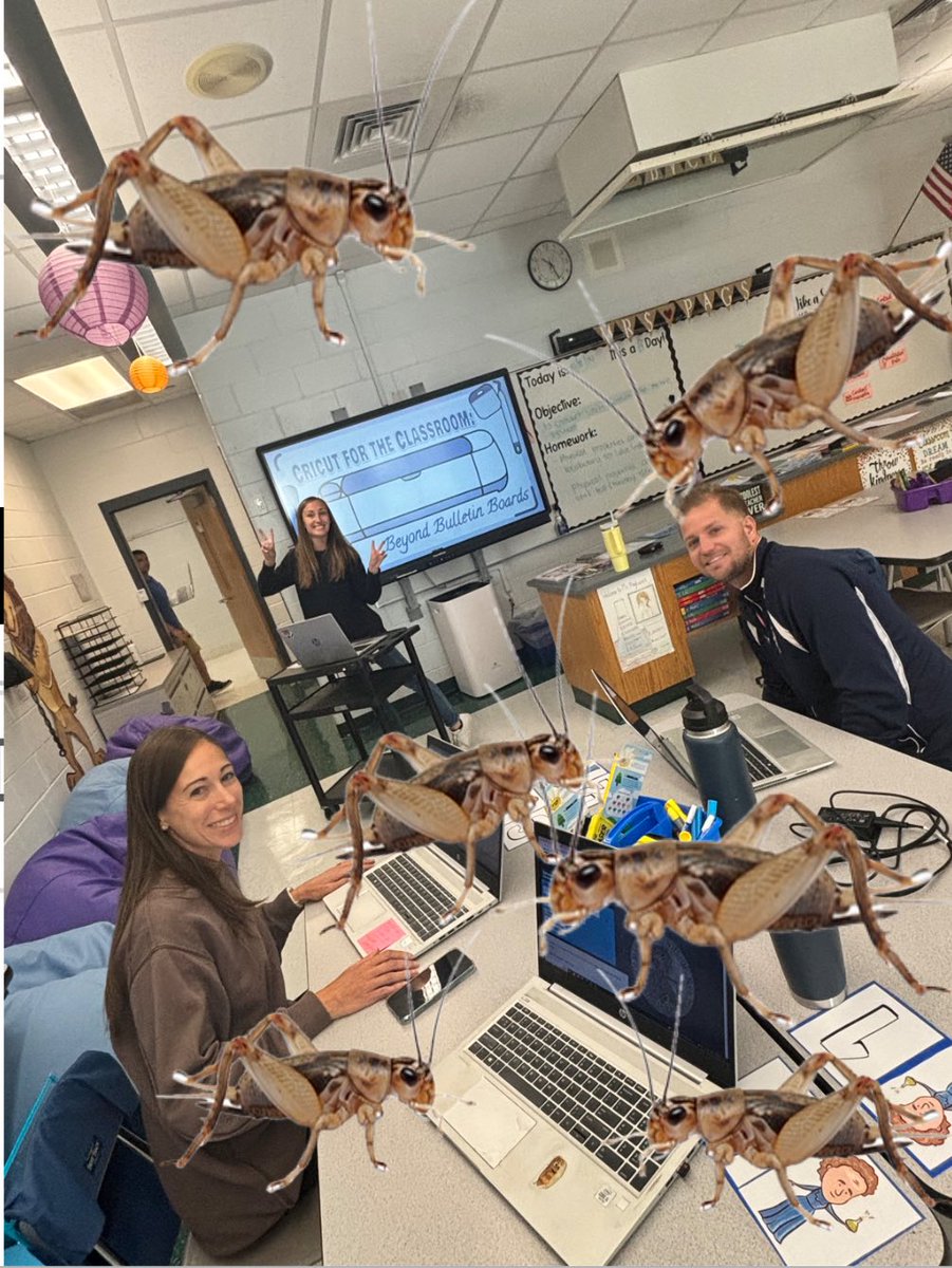 Scott Fine tweet media