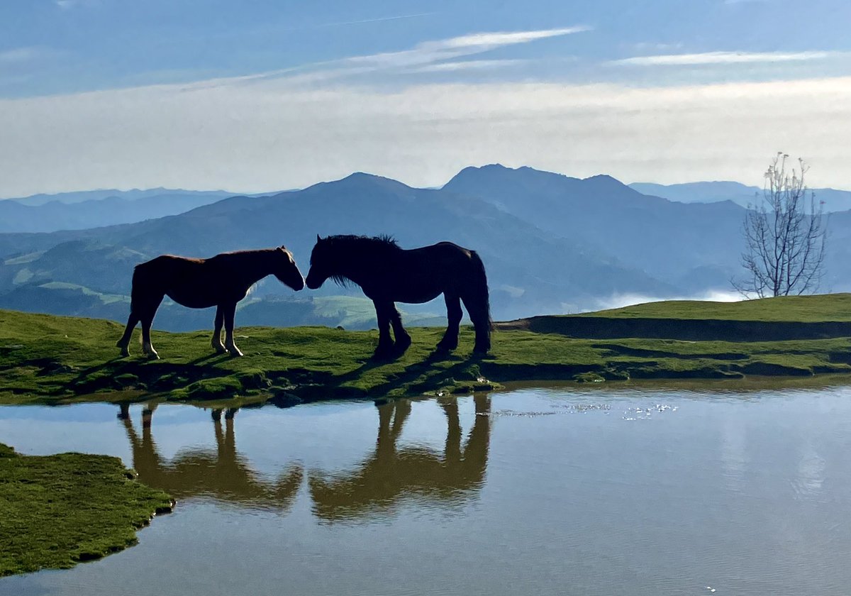 Putzuaundi Xoxote inguruan, Erlomendian , Izarraitz