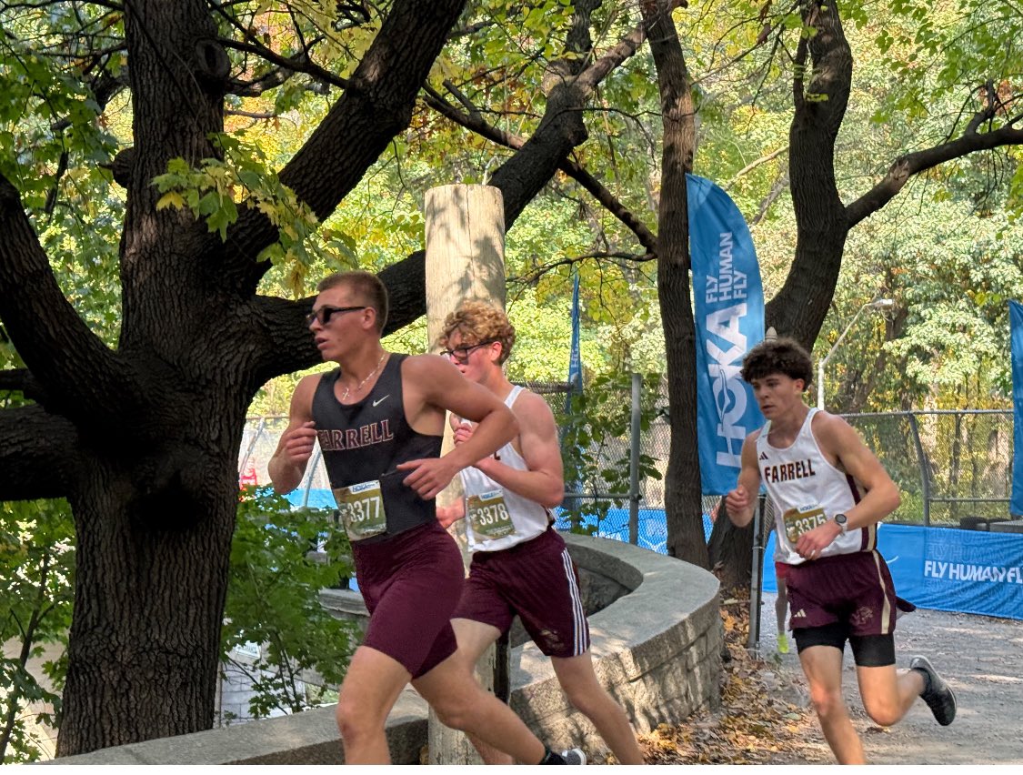 Msgr Farrell Track tweet media