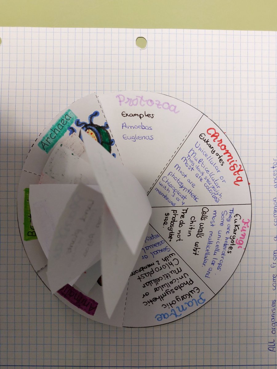 Cristina Bienes tweet media