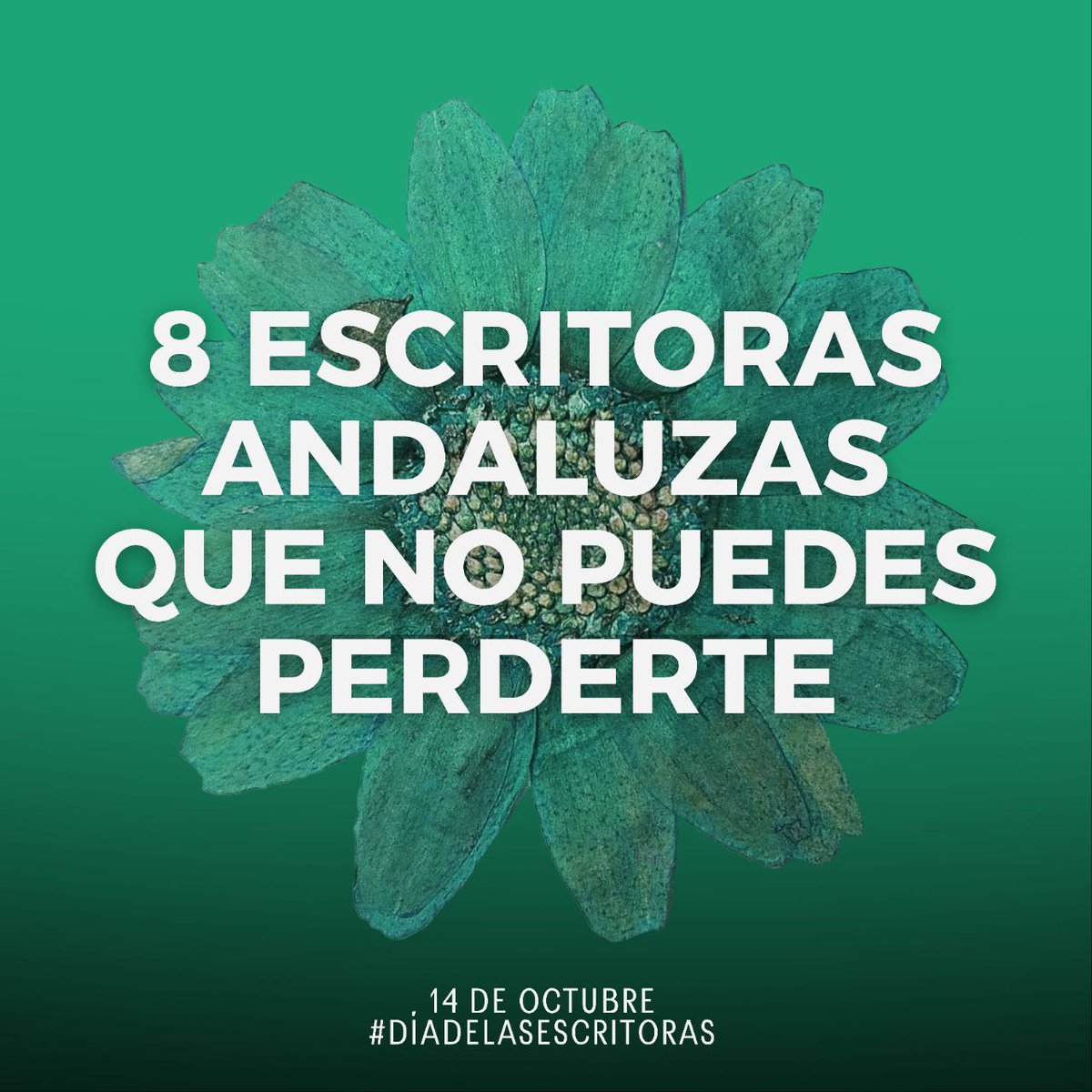 La Poderío tweet media