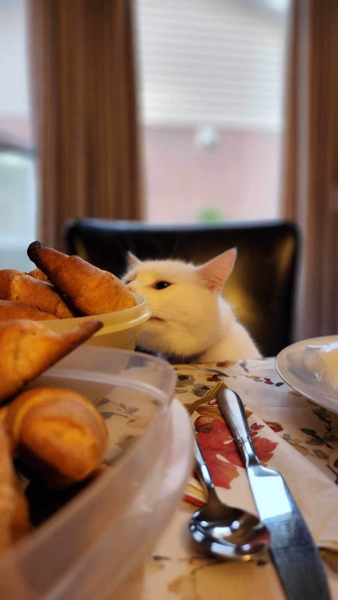 I hope all the Canadians are enjoying their food this weekend 🇨🇦 All I got was burnt croissants 😓