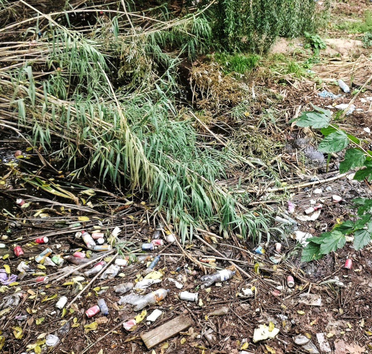 Parc dels Estanys, Platja d'Aro! A +  tallen herba amb màquines sorolloses, q pertorben les aus i les deixa sense insectes, llur aliment. Fem un camp de golf o cuidem la natura? Gestionem residus? <a href="/femajuntament/">Ajuntament Castell d'Aro, Platja d'Aro i S'Agaró</a> @mauricijimenez <a href="/JaumeRamot/">Jaume Ramot Garcia</a> <a href="/gencat/">Generalitat de Catalunya</a> <a href="/parcscat/">Parcs de Catalunya</a> <a href="/laxarxa/">La Xarxa</a> <a href="/som3cat/">3Cat</a>