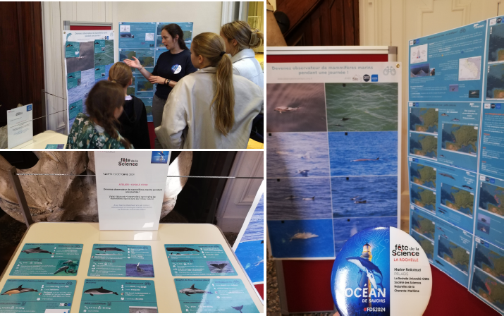 Marine Ballutaud tweet media