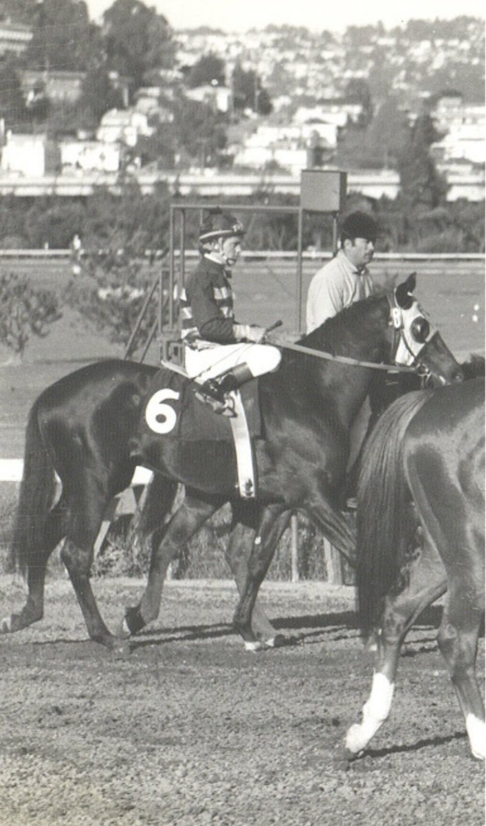 HORSERACING1002's tweet photo. TRIPLE BEND🇺🇸1968
(NEVER BEND -TRIPLE ORBIT BY GUN SHOT)
#TripleBend
B/ Leslie Combs II (Ky) March 20, 1968
O/ Frank M. McMahon
KEEJUL $100,000
SUNMTS $0 RNA
29-10-6-5----$366,760
Contra Costa S, Los Angeles H, San Fernando S, Santa Anita H, Vosburgh H
2nd Argonaut H, Baldwin S, California Derby, El Dorado H, Charles H. Strub H, San Antonio H
3rd Cinema H, Hollywood Derby, Will Rogers S.
NTR Hollywood 7½f 1,29,00
NWR Hollywood 7f 1,19,80
Stood at Spendthrift Farm, Jackson Farm, Sired Black Cloud, Diorissimo, Dungarven, James Pride, Neutral Player, Never Again, Propitiate, Yasmira.
Died January 31, 1995