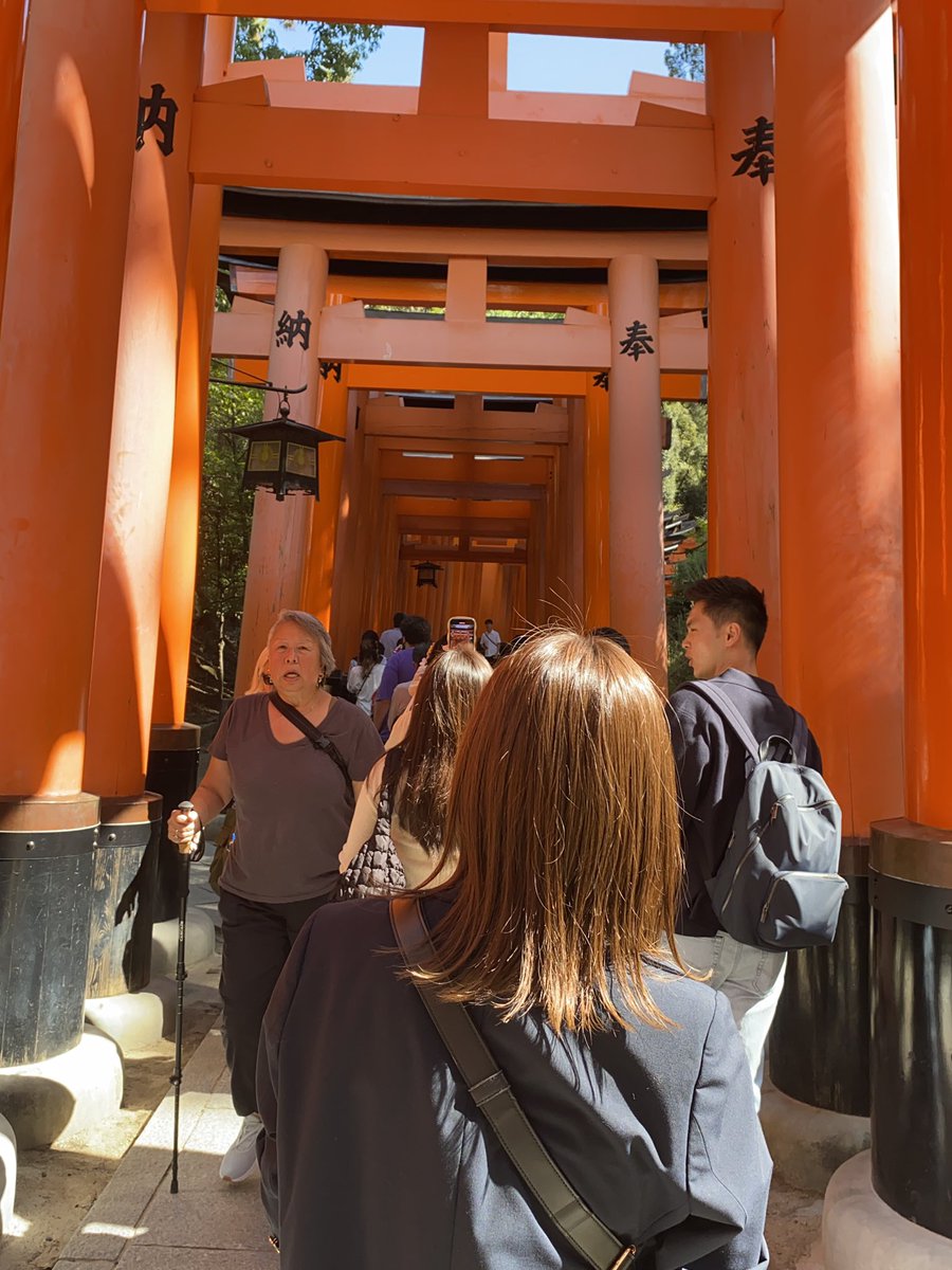 ディズニーと京都と嫁ちゃん。