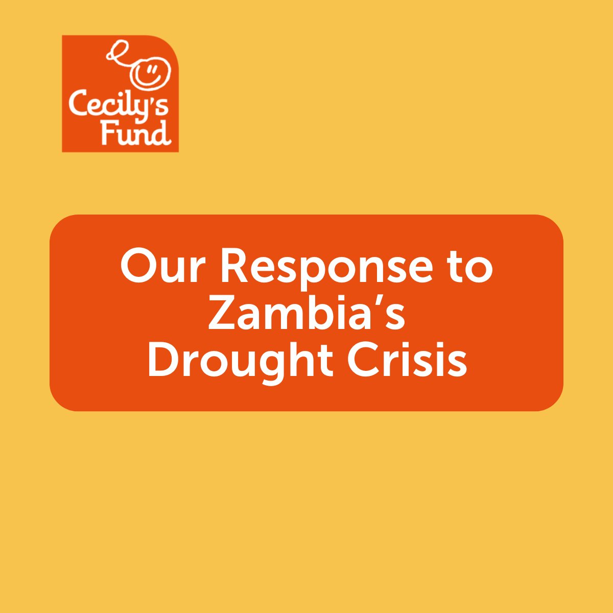 At Cecily's Fund, we are deeply concerned about the ongoing drought which is causing havoc across Zambia.
If you would like to support our work, which helps vulnerable Zambian children in general, please consider donating at Donate | Cecily's Fund (cecilysfund.org)