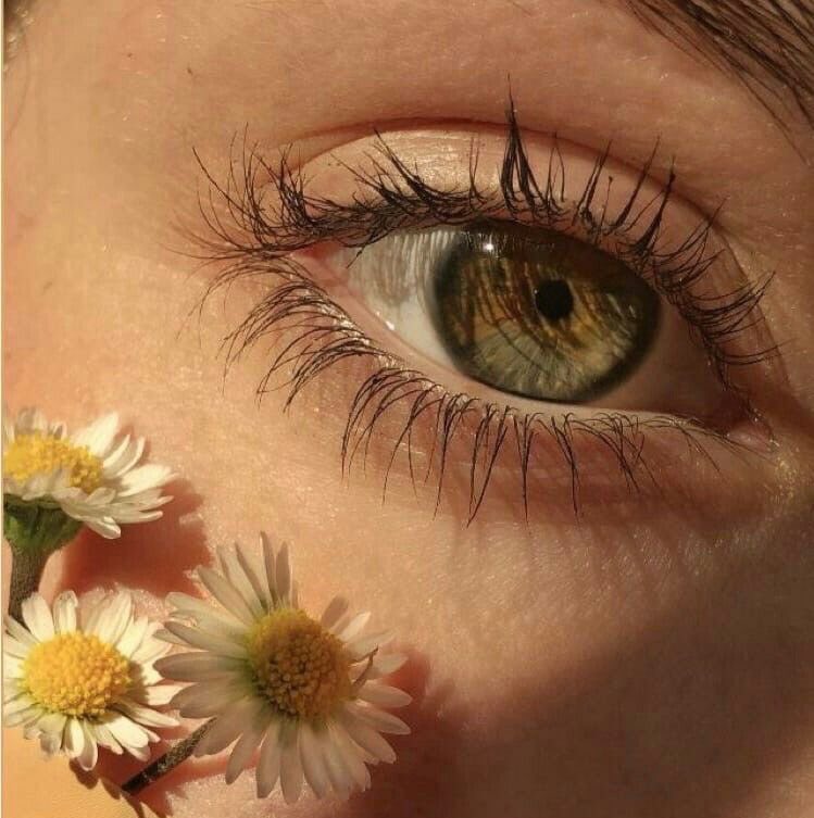 ᅠ ᅠ (@greendreaams) on Twitter photo 