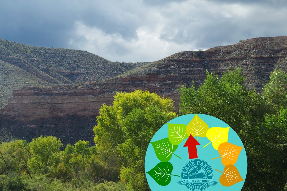 VerdeCanyonRail's tweet photo. #CanyonColormeter: As sunlight kisses the tree tops, a golden glow is revealed. Day by day we get closer to #FallColors in the Verde Canyon. #autumn #Arizona #leafpeepers #fallfoliage https://t.co/lZ7OZArA1G