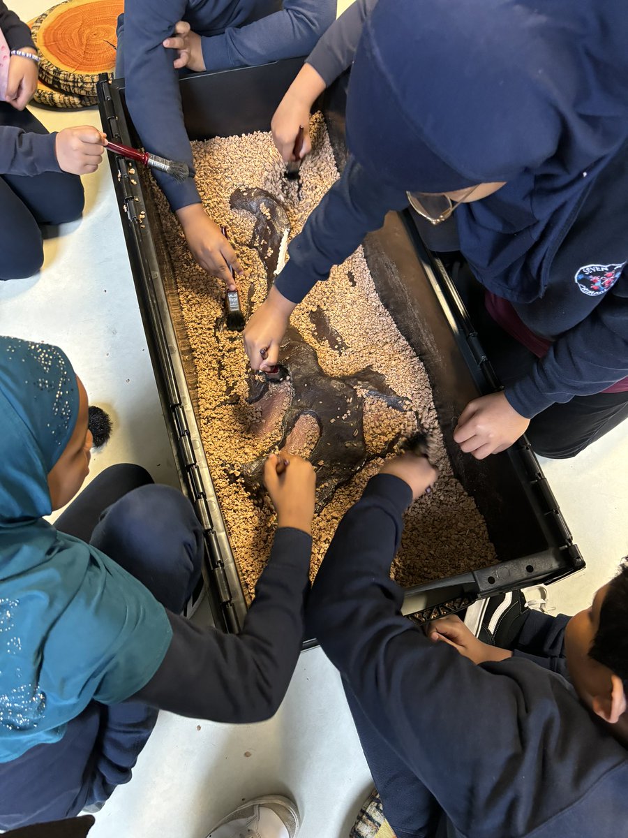 Seven Mills Primary tweet media