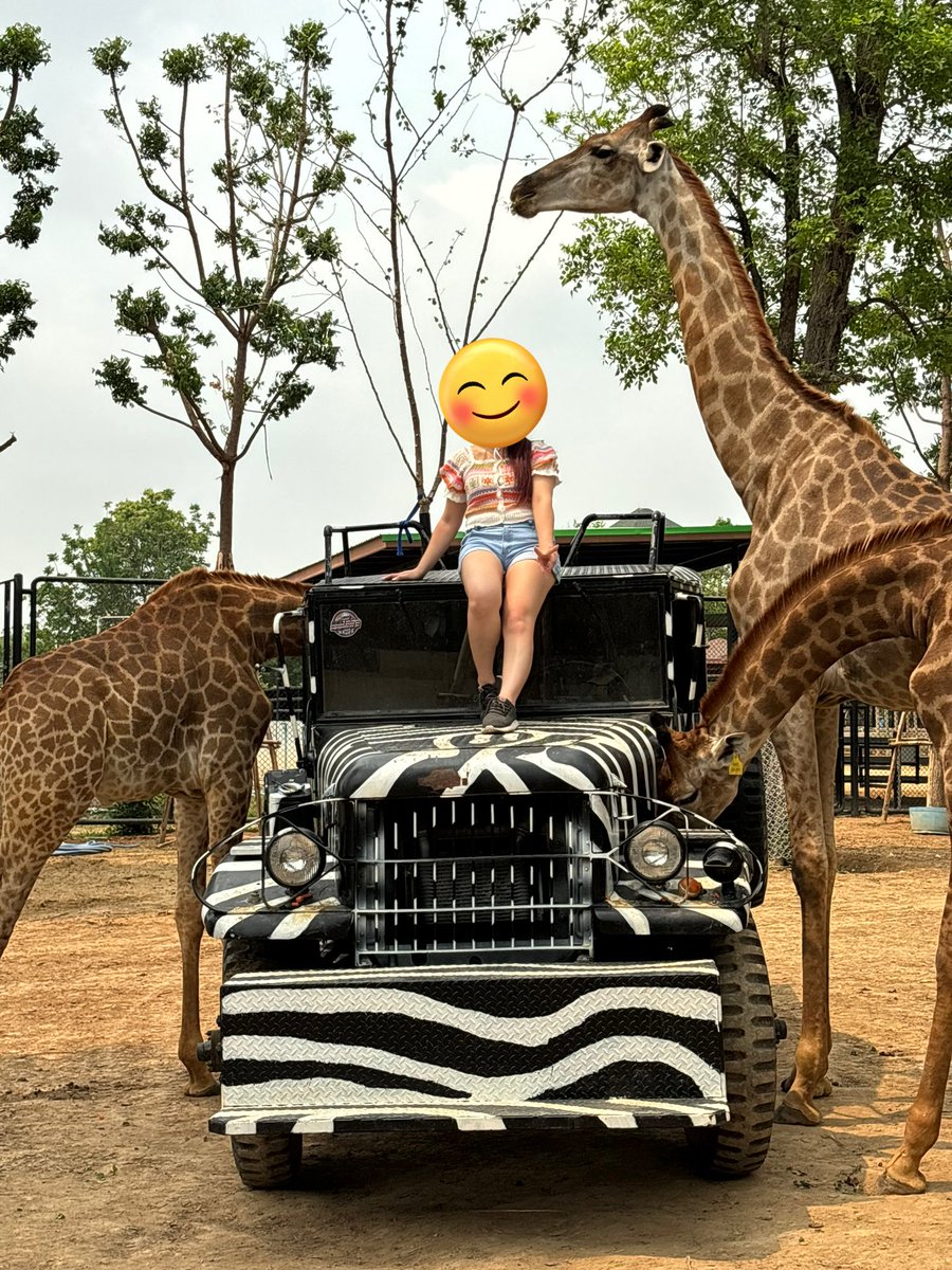 憂鬱星期一

不知道憂鬱的星期一晚上可以幹嘛…
有沒有什麼好提議呢？

#北部情侶 #北部聯誼 #唱歌 #聊天 #交友 #看夜景 #喝茶 #喝奶茶 #喝咖啡 #喝酒 #錢櫃 #凱悅