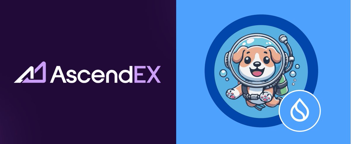 $SCUBA Dog tweet media