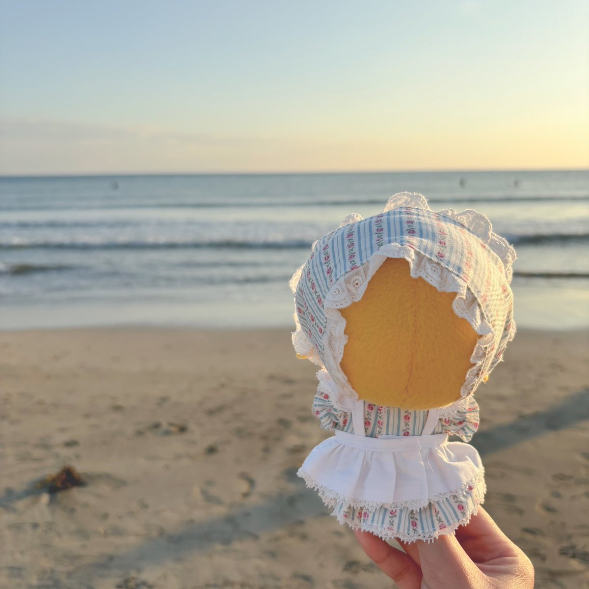 なずぬい、海だよ
海、なずぬいだよ