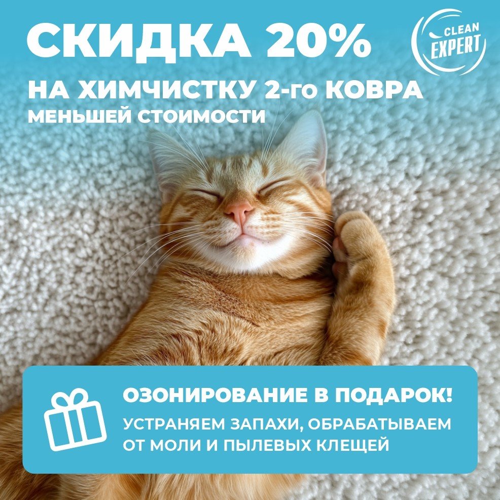 cleanexpert1992's tweet photo. 🌟 Акция на химчистку ковров в "Клин Эксперт"! 🌟

Хотите, чтобы ваши ковры сияли чистотой? Мы рады предложить вам специальное предложение!

✨ Закажите химчистку двух ковров и получите скидку 20% на чистку второго ковра меньшей стоимости!

💎… https://t.co/PuCGP1SN0S https://t.co/gsH0Z6Cjct