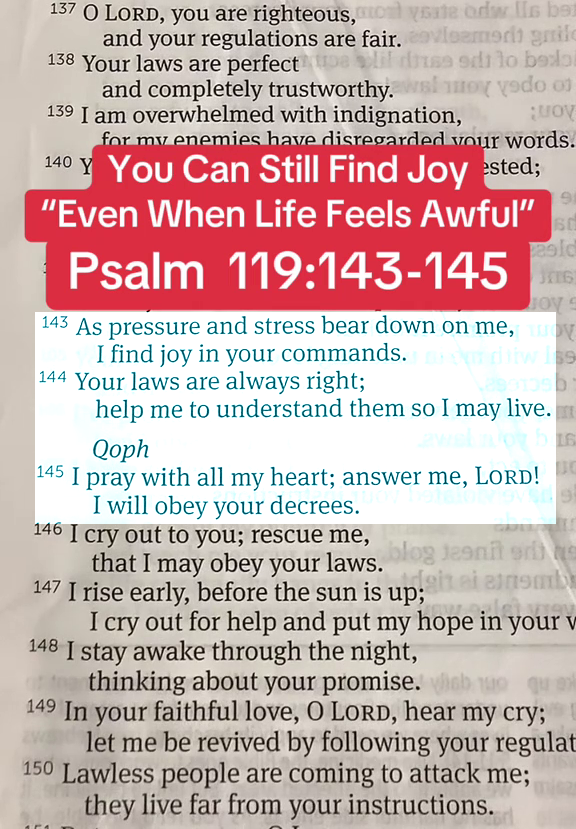 ForProphetic's tweet image. ❤️ Psalm 119:143-145 ❤️
🅰🅼🅴🅽
  ❤️𝑷𝒓𝒐𝒑𝒉𝒆𝒕𝒊𝒄𝑾𝒐𝒓𝒅