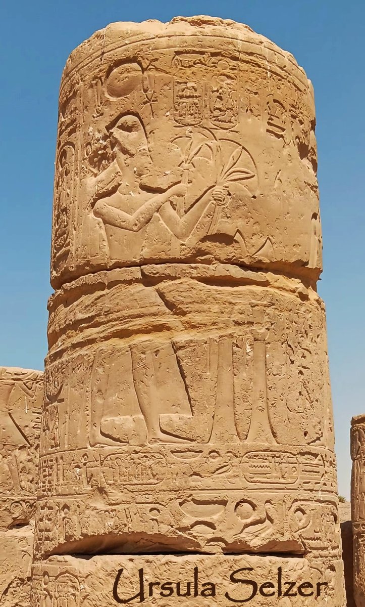 Our webinar "Ancient Egyptian #crafts and #professions" (in German) starts today! 
#ancientegypt #egyptology #pharaoh #vizier #scribe #priest #physician #carpenter #sculptor #butcher #fisherman #potter #jeweller #goldsmith #merchant #soldier #musician #dancer #weaver #dressmaker