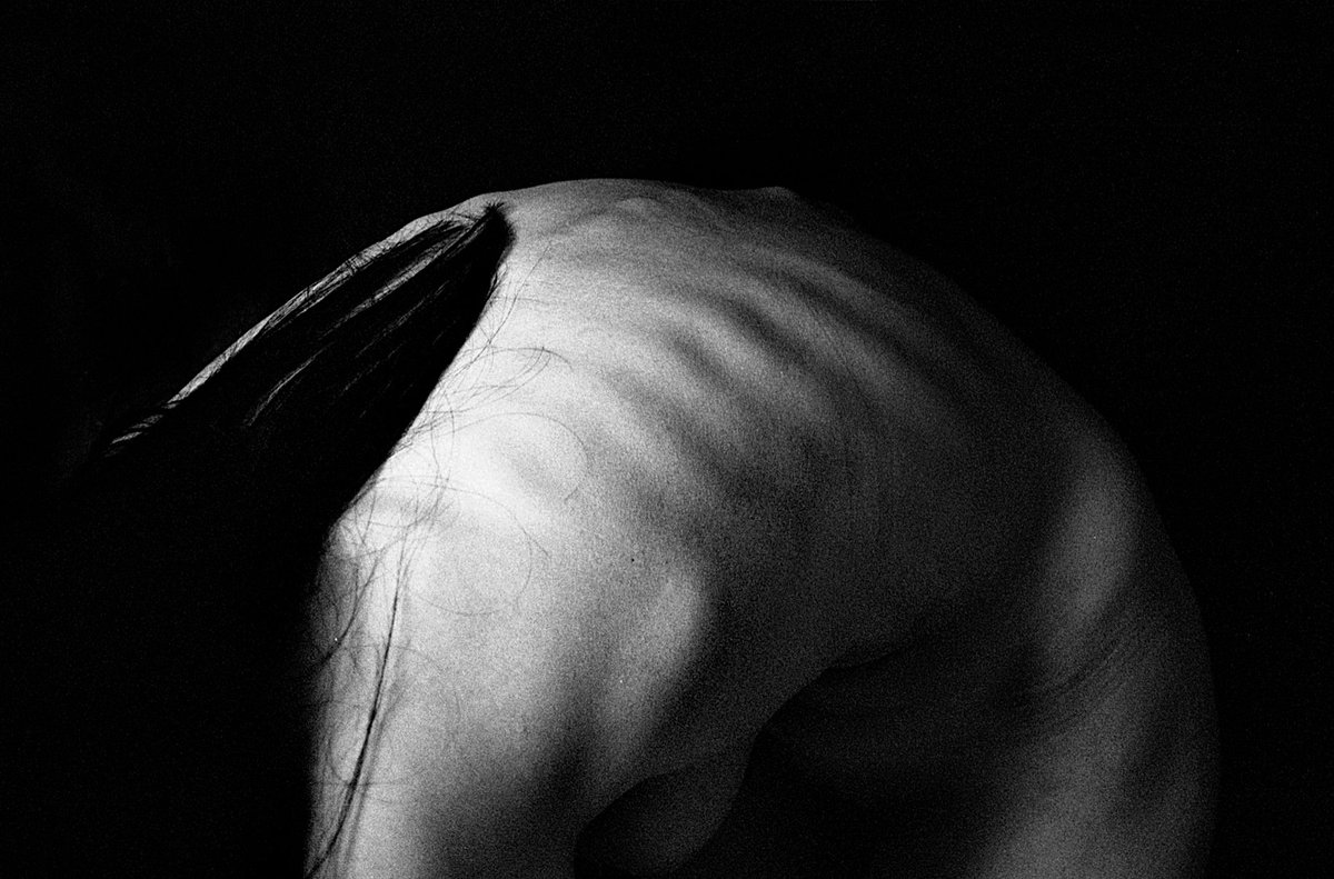 Crowing
8/11ed 3tez

thank you dearest <a href="/hello_mellow/">Lenni</a>  and <a href="/WomenMuseumArt/">Women's Museum</a> for collecting

objkt.com/tokens/KT19tfC…