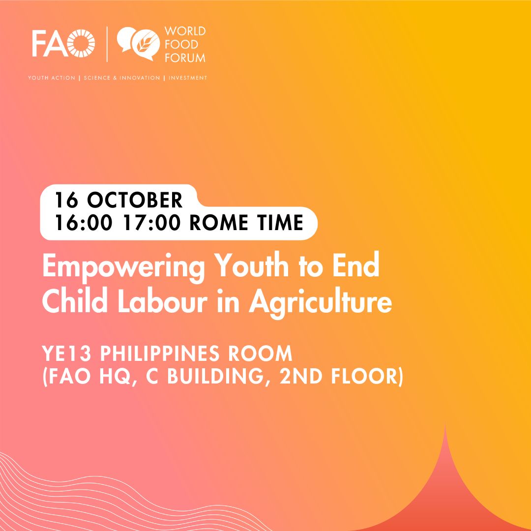 FAO Social & Economic Development tweet media