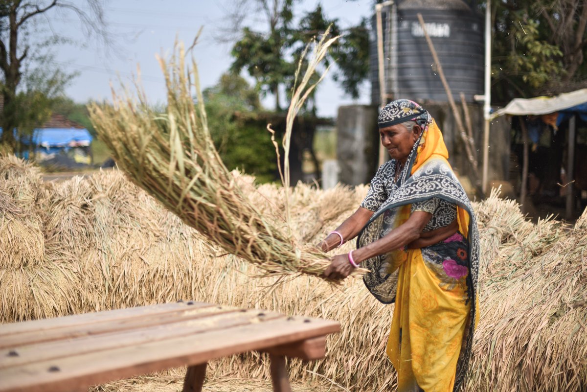 Think of a farmer. Did you think of a male?
From land ownership, gender norms, economic disparities, policy &amp; institutional barriers and media representation have contributed to marginalisation of women in agri. This #MahilaKisanDiwas lets celebrate women farmers and their coops.
