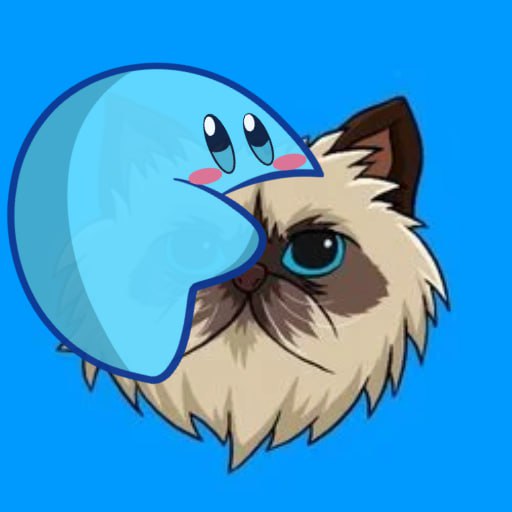 basedisbased's tweet image. Meowwwww

$SLIME