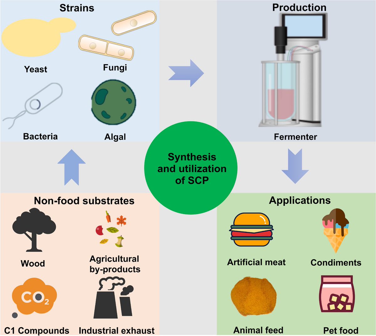 AdvBiotech2023's tweet photo. 📣New Article: Metabolic engineering for single-cell protein production from renewable feedstocks and its applications. #Foodproteins #Singlecellproteins #Renewablematerial #Metabolicengineering https://t.co/N7gymILvAV https://t.co/p9aU4fnWs0