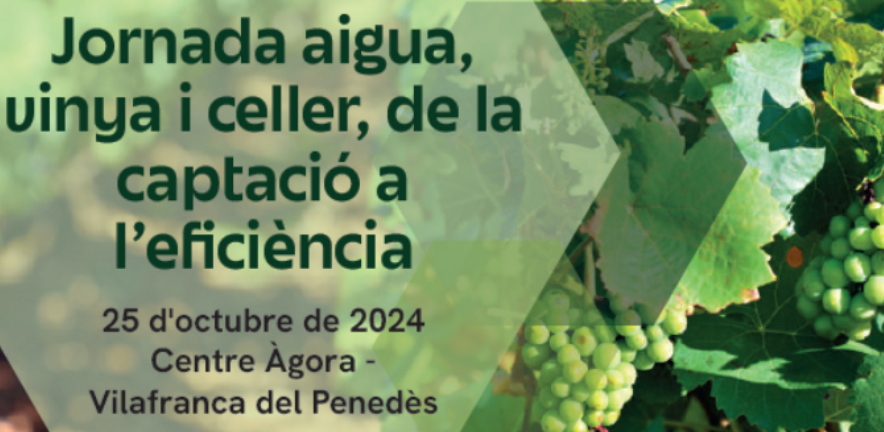 JORNADA | Jornada Aigua, vinya i celler, de la captació a l'eficiència

📅 Divendres 25 d'octubre
🕛 De 9.30 a 12h
📍 Centre Àgora, Vilafranca del Penedès

INSCRIPCIONS ▶️innovi.cat/events/jornada…
#vicatalà #sostenibilitat #aigua #vitivinícola