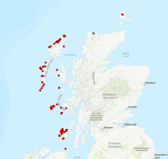 crexcrexnet's tweet photo. If you heard or saw a Corncrake this year, then please report it here: https://t.co/fyaQrnzqH8. Your reports help us target our conservation efforts.

Huge thanks to everyone who has already reported your Corncrake records.

@RSPBScotland
@heritagefunduk
#corncrakecalling https://t.co/gu2rwzy4hB