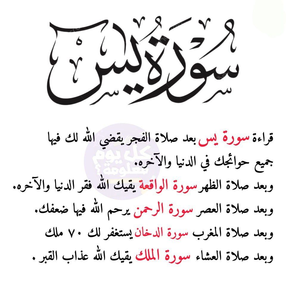 #معلومة