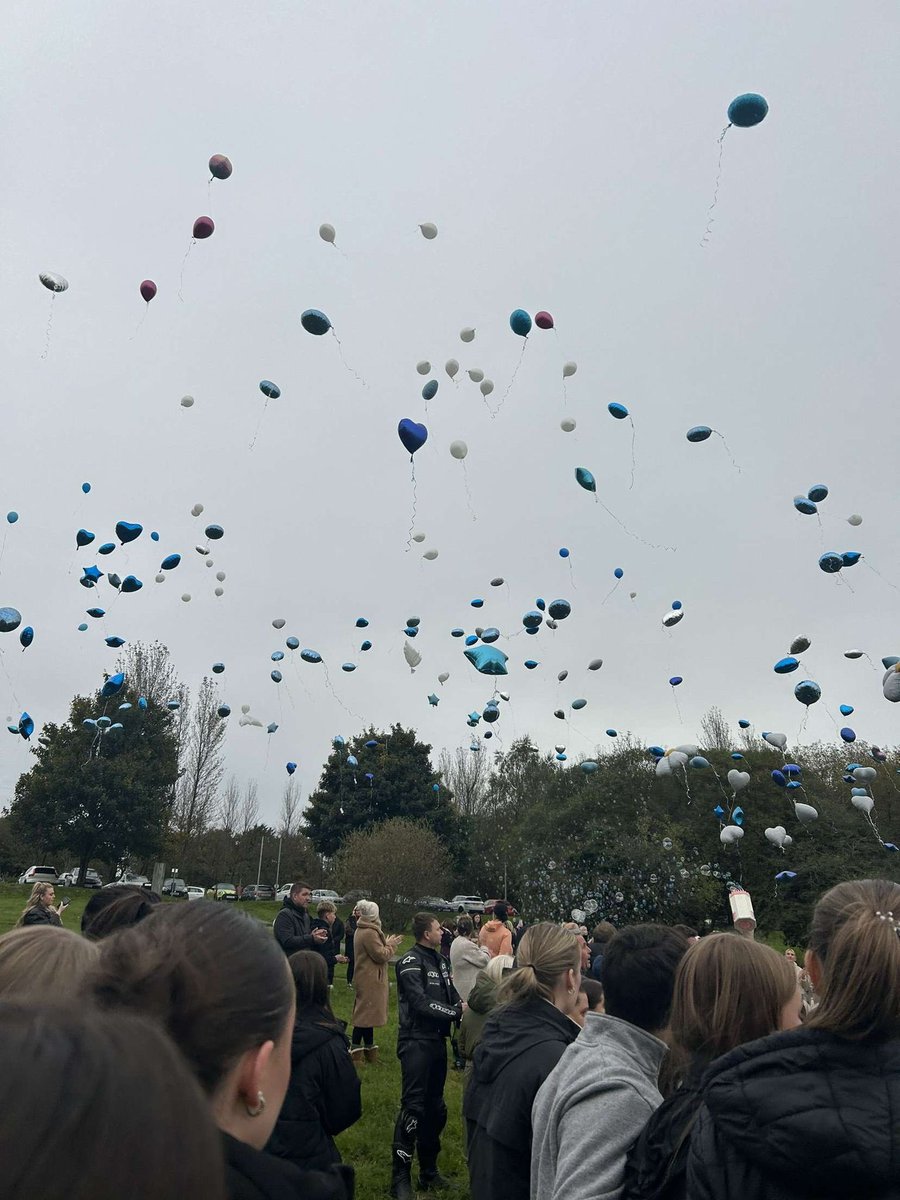 Newbridge Newts🦎 tweet media