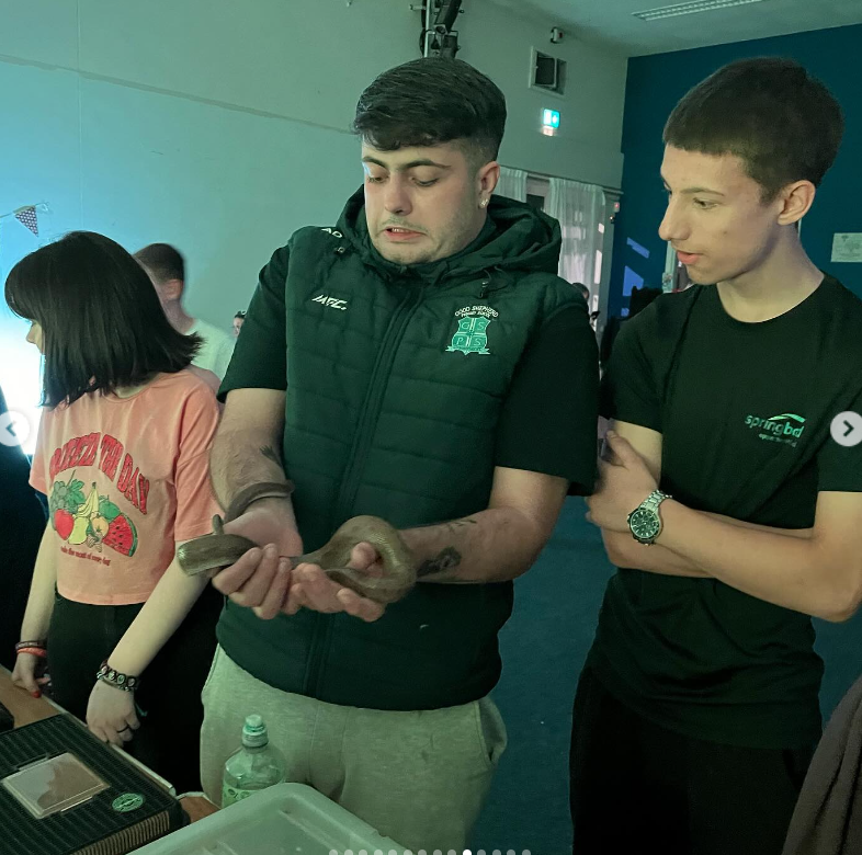 Strive Programme tweet media