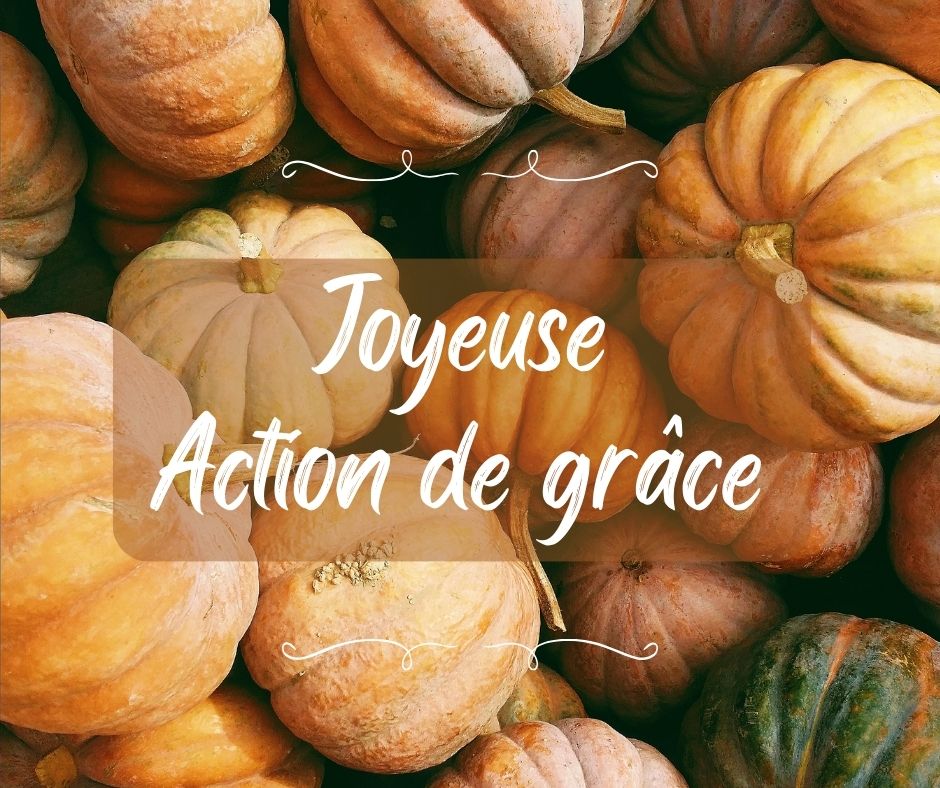 InfoExcavation's tweet photo. Nous vous souhaitons une  agréable et généreuse journée d'Action de grâce. Nos services sont à votre disposition en ce jour férié. https://t.co/8oqrebxBiA