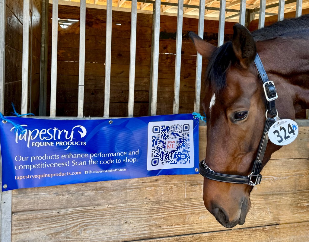 LongRunTB's tweet photo. Thank you @tapestryequineproducts for sponsoring Lauren @laurenmillet7 and Mr Nobility during the Thoroughbred Makeover. 

Use the QR code to learn more about TEP!

#ottb #longrun_tb #eventer #jumper #equine #equestrian #horses #horselove #gelding #secondcareer #retiredracehorse https://t.co/iGEMF9byJy