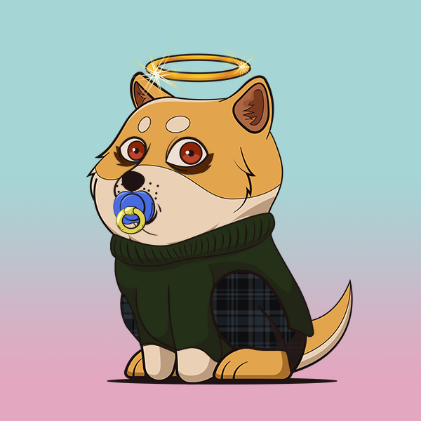 In a new dawn, a plain-furred baby doge NFT with a baby binky mouth and beast eyes wears sharp clothing and a gold halo headwear. Despite its fierce appearance, it's a gentle soul who loves to play with its toys.